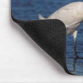 Snowy Egret am Nordstrand Mousepad (Ecke)
