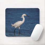 Snowy Egret am Nordstrand Mousepad (Mit Mouse)