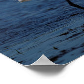 Snowy Egret am Nordstrand Poster (Ecke)