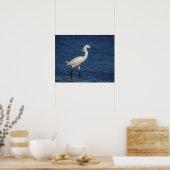 Snowy Egret am Nordstrand Poster (Küche)