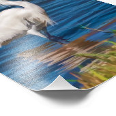 Snowy Egret am Teich Fotodruck (Ecke)
