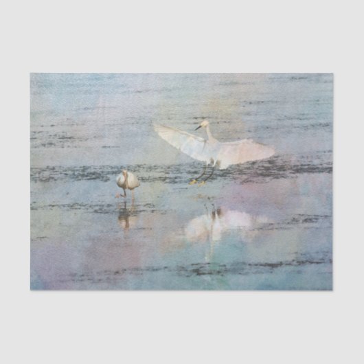 Snowy Egret Aquarellpapier Seidenpapier (Vorderseite)