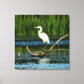 Snowy Egret auf Log-Canvas Print Leinwanddruck (Vorderseite)