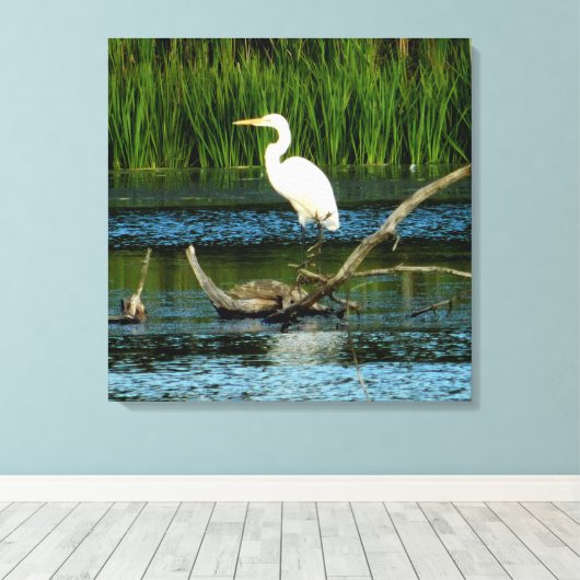 Snowy Egret auf Log-Canvas Print Leinwanddruck (Insitu (Holzboden))