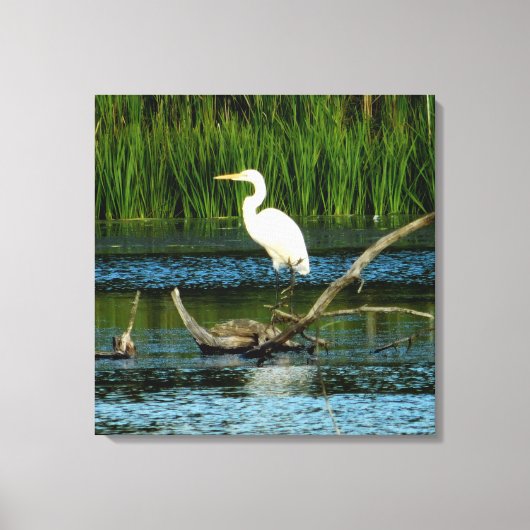 Snowy Egret auf Log-Canvas Print Leinwanddruck (Vorderseite)