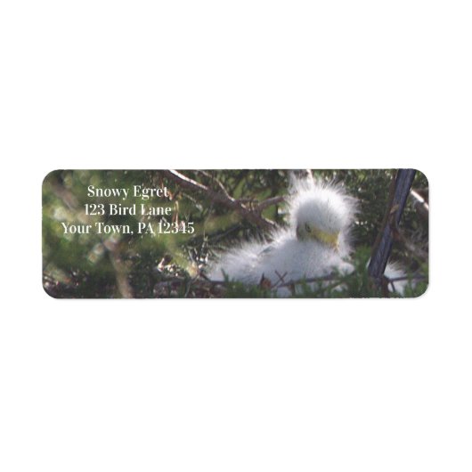 Snowy Egret Baby Bird Label (Vorne)