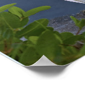 Snowy Egret bei Marsh Poster (Ecke)