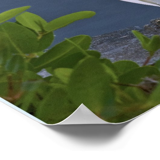 Snowy Egret bei Marsh Poster (Ecke)