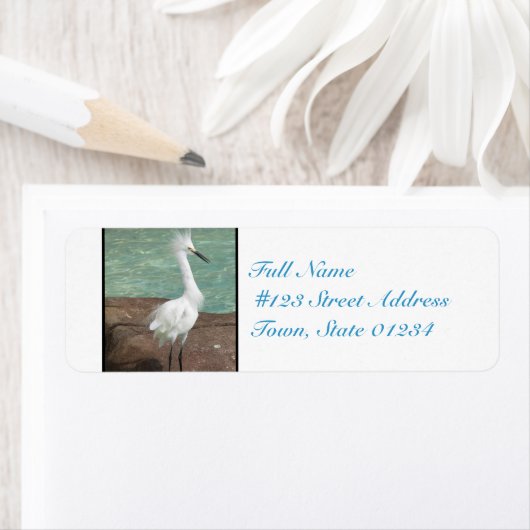 Snowy Egret Bird (Insitu)