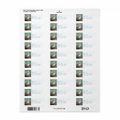 Snowy Egret Bird (Vorne)