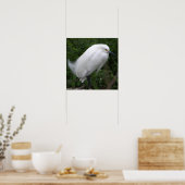 Snowy Egret Bird Foto Poster (Küche)