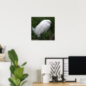 Snowy Egret Bird Foto Poster (Heimbüro)