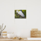 Snowy Egret Bird Foto Poster (Küche)