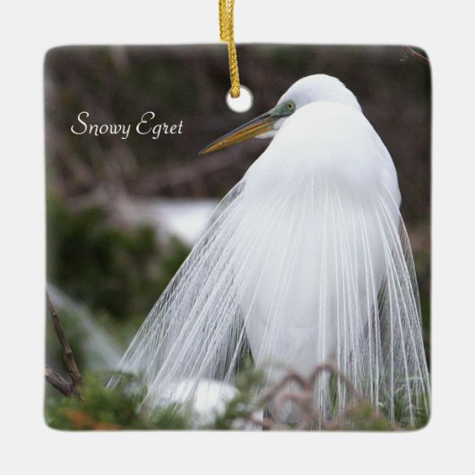Snowy Egret Bird Ornament (Vorderseite)