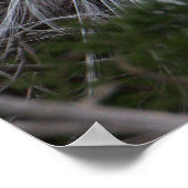 Snowy Egret Bird Poster (Ecke)