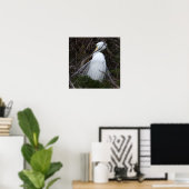 Snowy Egret Bird Poster (Heimbüro)
