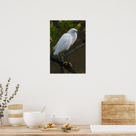 Snowy Egret Bird Poster (Küche)