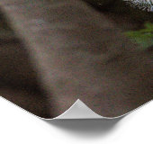 Snowy Egret Bird Poster (Ecke)