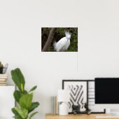 Snowy Egret Bird Poster (Heimbüro)