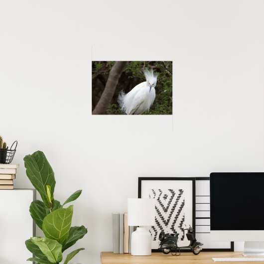Snowy Egret Bird Poster (Heimbüro)