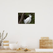 Snowy Egret Bird Poster (Küche)