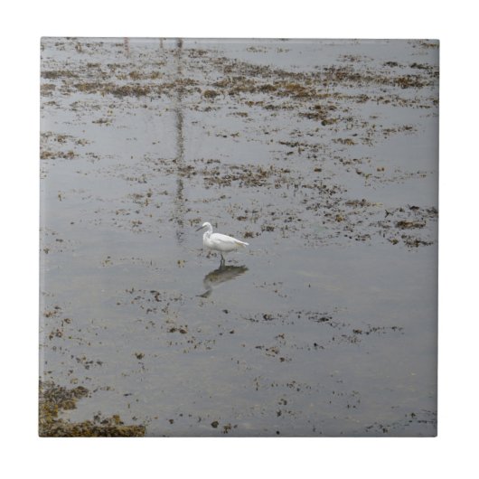 Snowy Egret Fliese (Vorderseite)