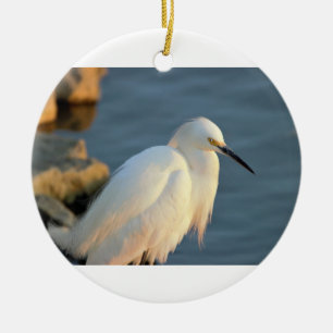 Snowy Egret Foto Keramik Ornament