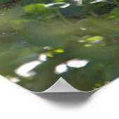 Snowy Egret Foto Poster (Ecke)