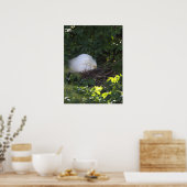 Snowy Egret Foto Poster (Küche)
