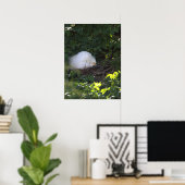 Snowy Egret Foto Poster (Heimbüro)