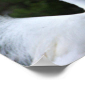 Snowy Egret Foto Poster (Ecke)