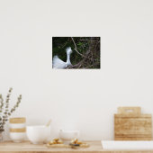 Snowy Egret Foto Poster (Küche)