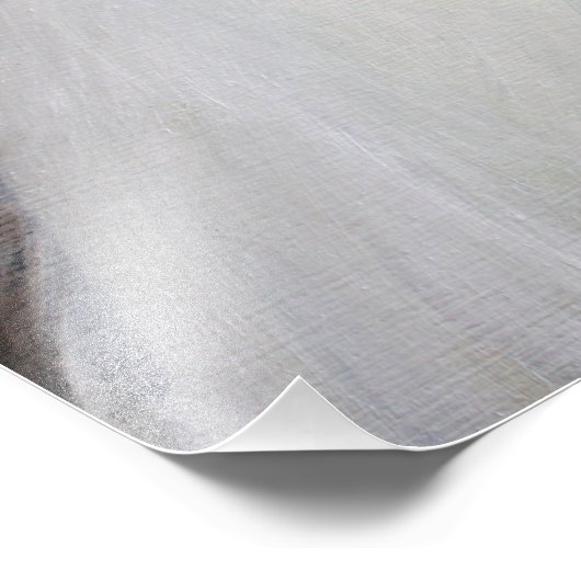 Snowy Egret Foto Print (Ecke)