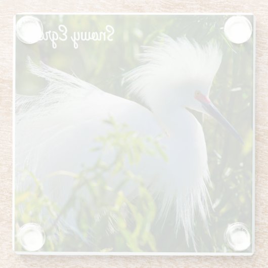 Snowy Egret Glasuntersetzer (Rückseite)
