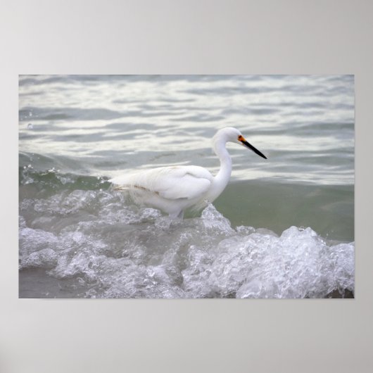 Snowy Egret im Surf Poster (Vorne)