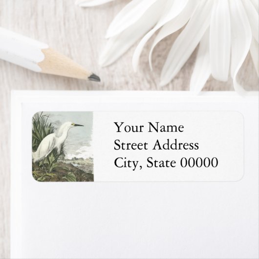 Snowy Egret, John Audubon (Insitu)