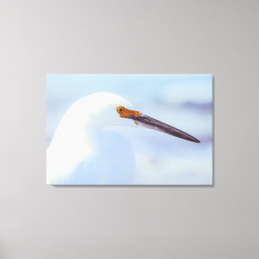 Snowy Egret Leinwanddruck (Vorderseite)