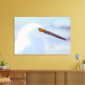 Snowy Egret Leinwanddruck (Insitu (Wohnzimmer))