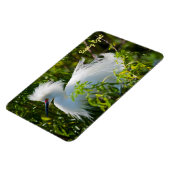 Snowy Egret Magnet (Linke Seite)