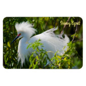 Snowy Egret Magnet (Horizontal)