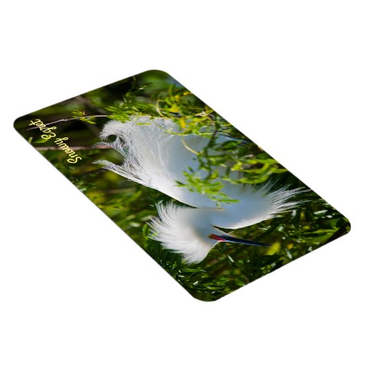 Snowy Egret Magnet (Rechte Seite)