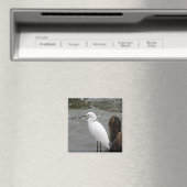 Snowy Egret Magnet (In Situ (Geschirrspüler))