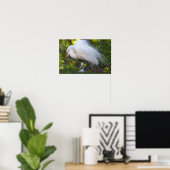 Snowy Egret mit Baby Poster (Heimbüro)