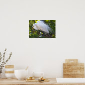 Snowy Egret mit Baby Poster (Küche)