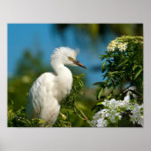 Snowy Egret mit Blume Print oder Poster (Vorne)