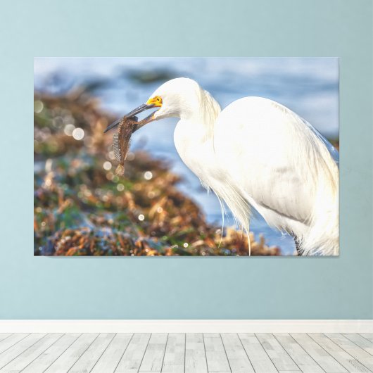 Snowy Egret mit Fisch Leinwanddruck (Insitu (Holzboden))