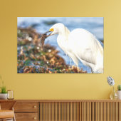Snowy Egret mit Fisch Leinwanddruck (Insitu (Wohnzimmer))