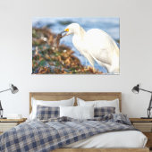 Snowy Egret mit Fisch Leinwanddruck (Insitu (Schlafzimmer))