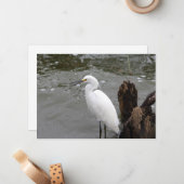 Snowy Egret Mitteilungskarte (Vorderseite/Rückseite Beispiel)