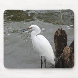 Snowy Egret Mousepad